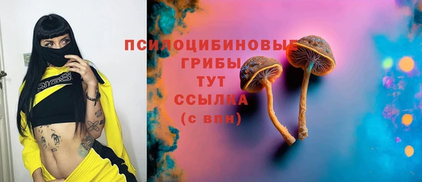 бошки Абаза