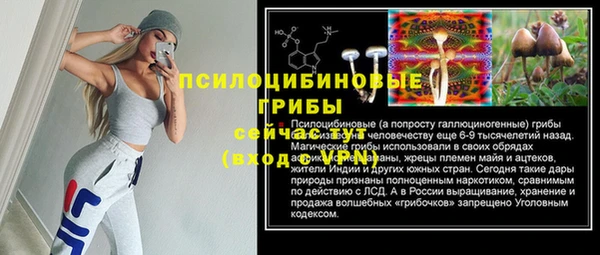 бошки Абаза
