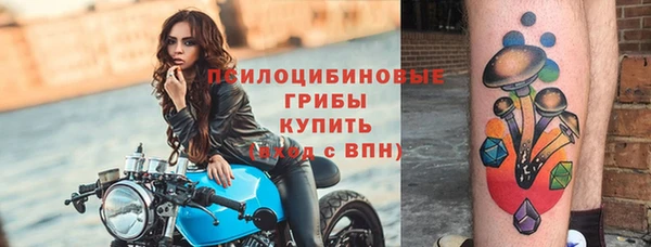 бошки Абаза