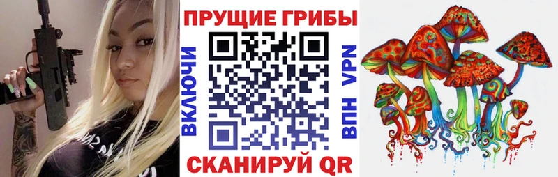 blacksprut как войти  Иркутск  даркнет Telegram  купить  цена  Галлюциногенные грибы ЛСД 